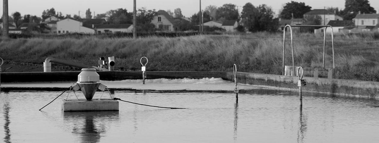 materiel producteur huitres marennes oleron lambert dégorgeoir