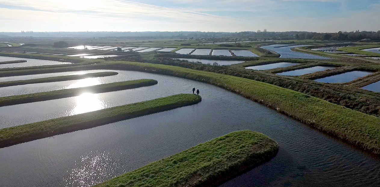 vue aérienne des claires à huitres lambert producteur de marennes oleron